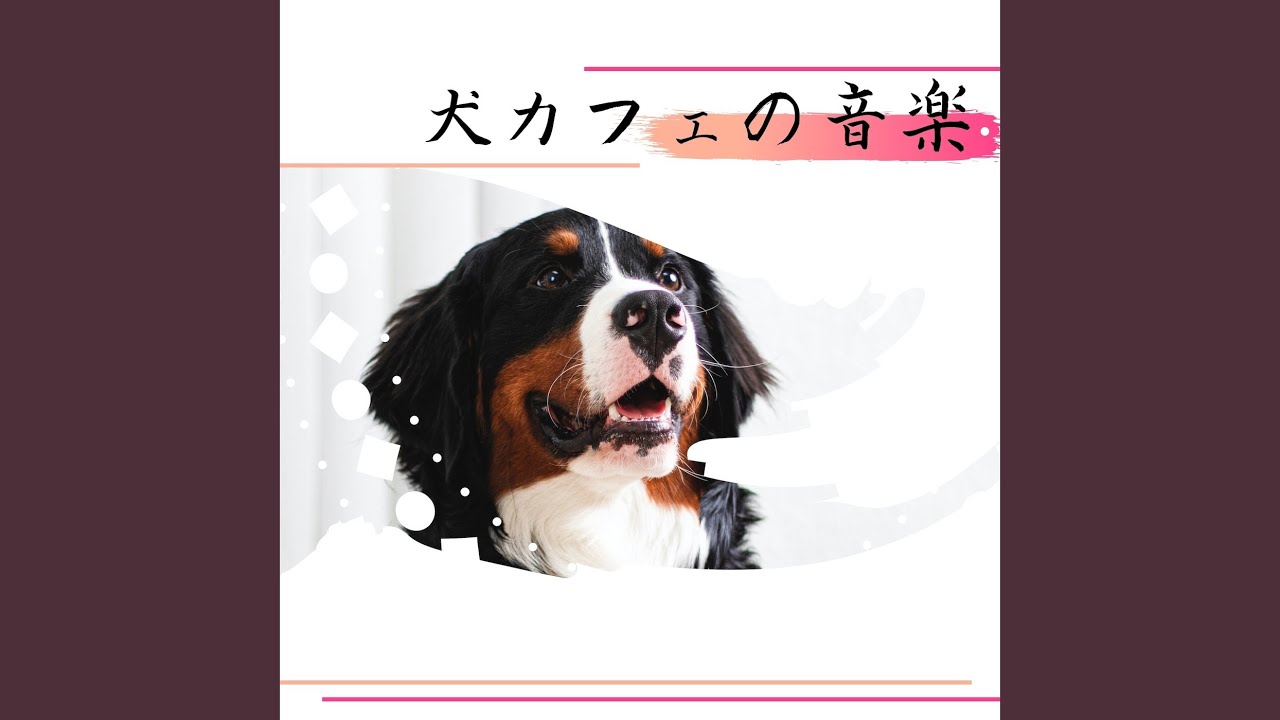 Watch 冬森のうつろい on YouTube