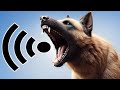 Aggressive Dog Barking Sound Vicious Dog Barking Sound Effect Aggressive Dog Barking Sound Vicious Dog Barking Sound Effect