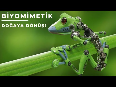 Biyomimetik - Doğaya Dönüş !