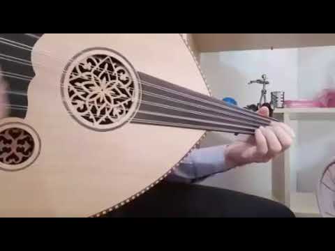 تعلم عزف أغنية عيون القلب على العود مع نطق العلامات د محمد أديب Songs With Oud 