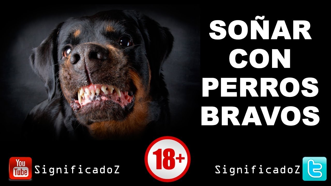 Que significa soñar con perros