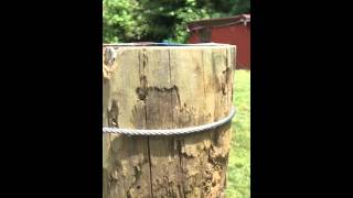 Simple to build: Muscadine (grapevine) trellis If you are looking to build a Muscadine, Scuppernong, grapevine trellis, this is simple, but effective.