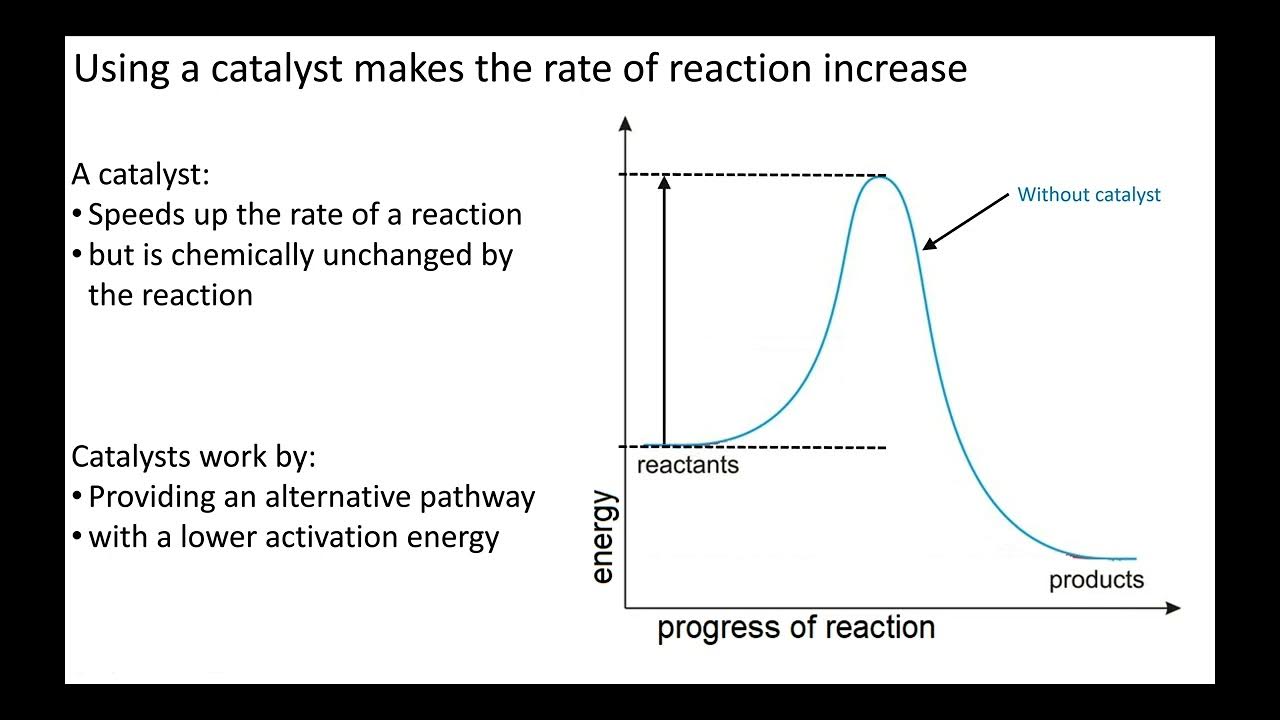 Effect of catalyst on the rate of reaction YouTube