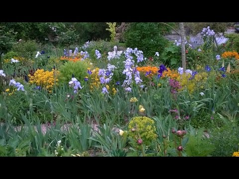 Video: Claude Monet La Giverny - O Grădină și Un Studio Pentru Impresionistul Final