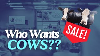 We Hosted a Cattle Sale!