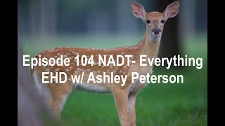 Episode 104 NADT- Everything 