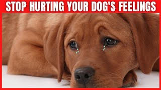 13 Things that EMOTIONALLY Hurt Your Dog
