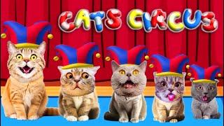 (Baby Cats) Amazing Digital Circus Theme animation Cats version