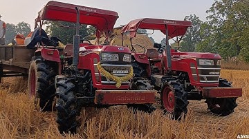 Tharesar masin Working a Village Dhan Kaam Letest Tractor Tharesar and mahindra 575 and 585 DI