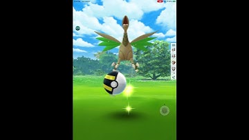 Pokémon go ( I got a shiny ✨ Skarmory ) using IPogo