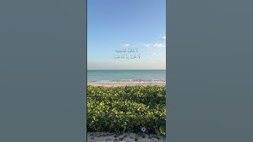أحمد الغامدي | مسجد قباء | سورة التوبة