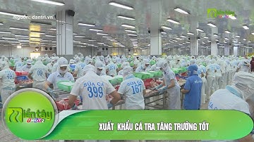 Xuất  khẩu cá tra tăng trưởng tốt