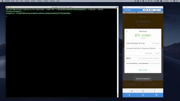 BigSpender Double-spend on BRD