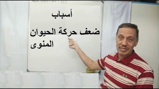 أسباب ضعف حركة الحيوان المنوى