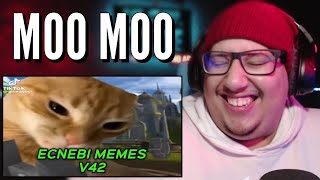 INTERNATIONAL MEMES V42