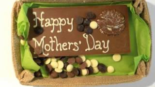 Watch Paul  Storm Mothers Day Song video