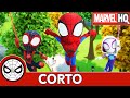 Spidey y sus sorprendentes amigos: El equipo araña