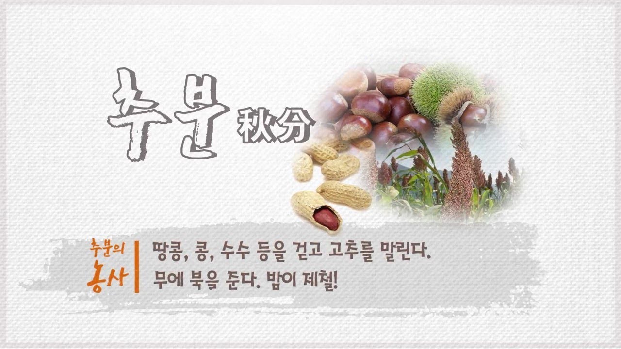 [농사이야기 지식N] 24절기 - 추분(秋分) - YouTube