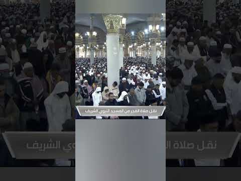 وما أرسلناك إلا كافة للناس بشيرا ونذيرا ولكن أكثر الناس لا يعلمون سبأ ٢٨ ٣٠