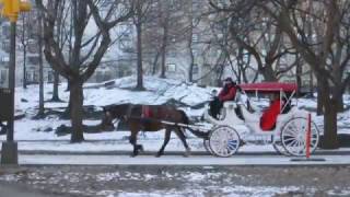 04 New York Old Friend Christmas Eve in Central Park