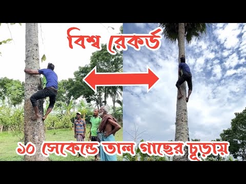 ভিডিও: পানি গাছে উঠে কিভাবে?