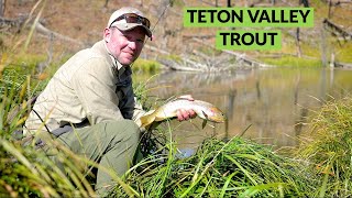 Teton Valley Trout Fishing | Idaho