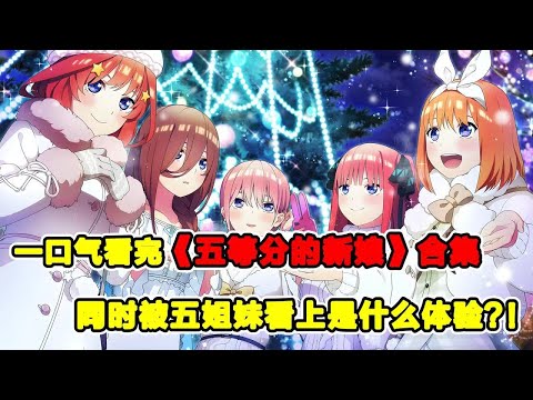 窮小子同時給五個富婆做家教!五胞胎美少女全都愛上他!一口氣看完《五等分的花嫁》兩季合集!