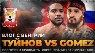 Туйнов vs Gomez | Битва за пояс ISKA