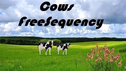 FreeSequency - Cows
