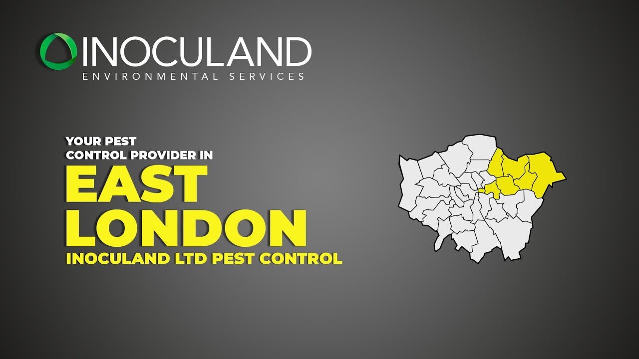 Pest Control East London · Inoculand Ltd Pest Control YouTube
