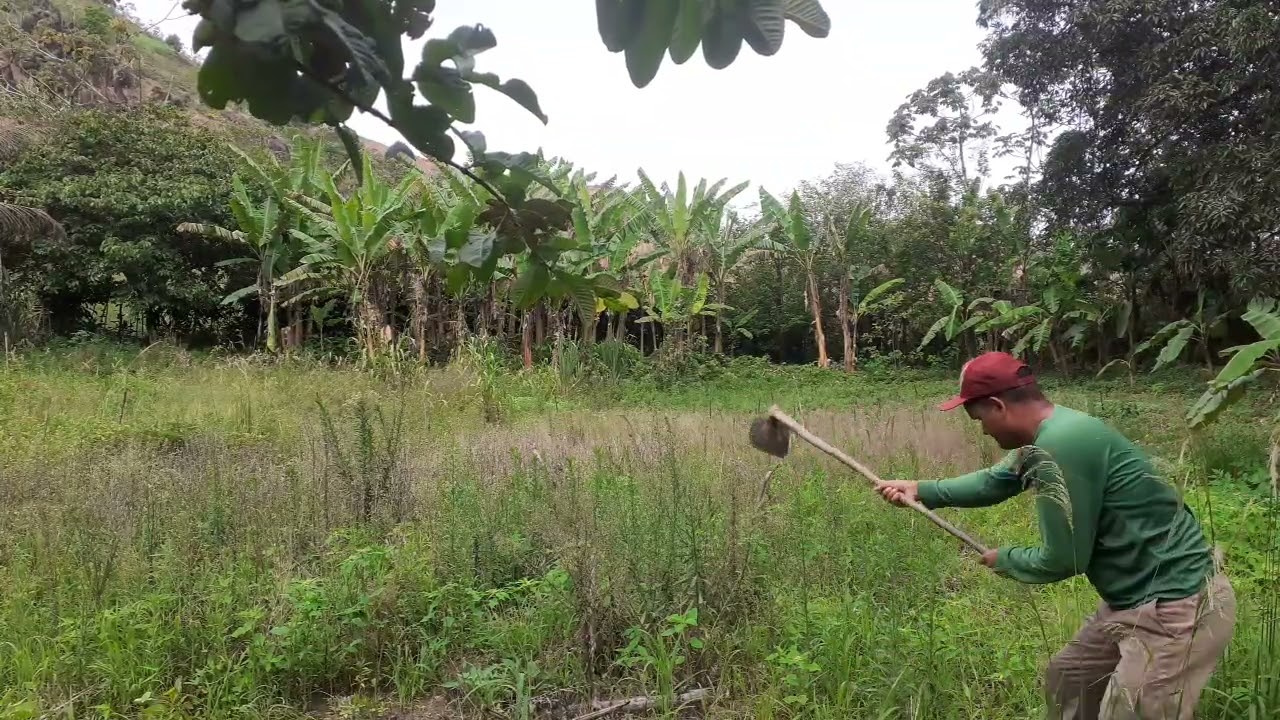 26 de fevereiro de 2026