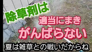 ズボラ母ちゃんが除草剤をまく❗がんばらないつもりが、、、、