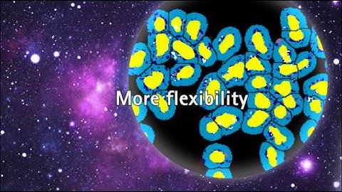 Boost your high content imaging with ImageXpress Micro XLS System (Molecular Devices)