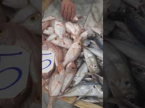شاهدوا سعر السمك في ليبيا باطل مقارنة بالجزائر