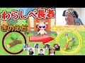【あつ森】フレンドの島を回ったらすごいアイテムがもらえたwwwww