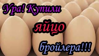 Ура! Скоро будут бройлера!!! #инкубационноеяйцобройлеров#инкубированиебройлеров#Ревда