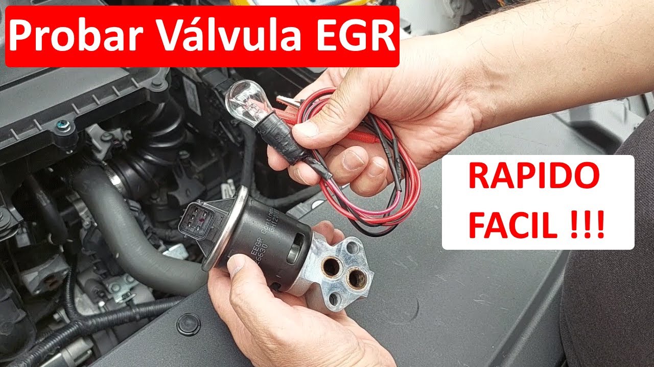 VALVULA EGR