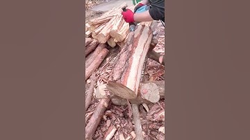 how the tool works to remove bark quickly #remove #worktools #trendingshorts