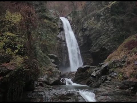 ვიდეო: ხაკასიას ნაკრძალის ცხოველები