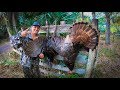 2 Osceola Long Beard Gobblers with 1 Shot! {Catch Clean CooK}