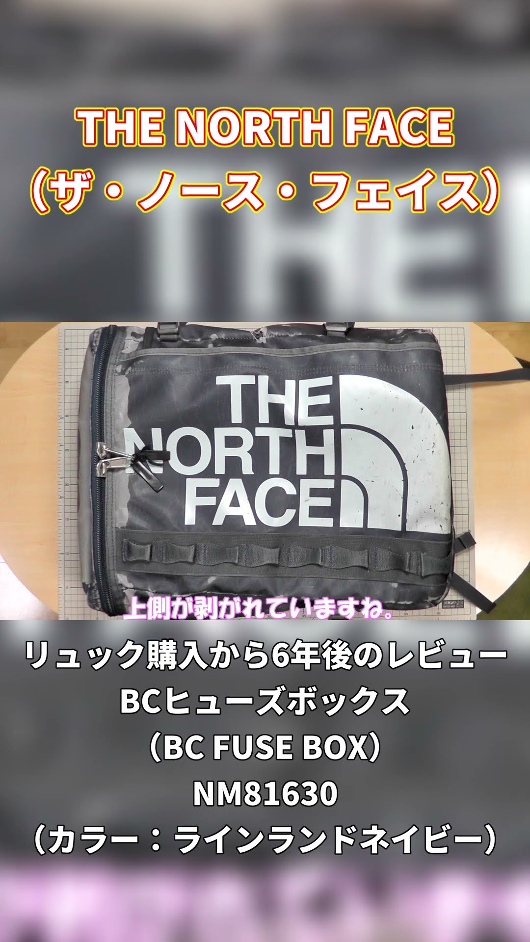 THE NORTH FACE ( ザ・ノース・フェイス ) - BALTRO LIGHT