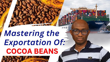 Mastering The Exportation   Cocoa Beans