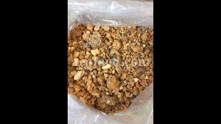 Ferula Assa-foetida Gum for sale. Provider, Supplier, Exporter and Wholesaler. We sell Asafetida.