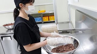 너무 귀여운 소녀 직원이 한국 최고의 초콜릿을 만드는 …
