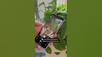 Google Pixel 8 and Pixel 8 Pro first look #Pixel8 #Google #Shorts