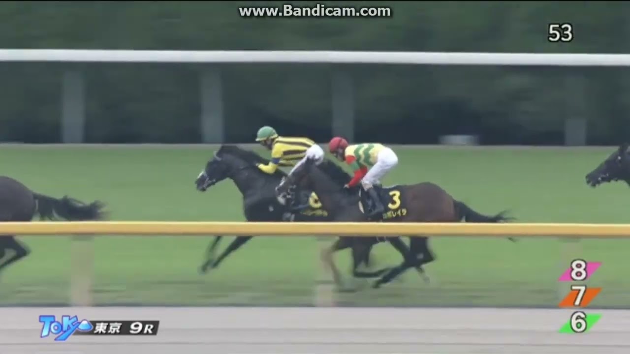 2024 アイビーステークス(L) マスカレードボール - YouTube