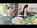 Day in my life vlog tamil  morning routine  breakfast  new plants  abarnasivabalan vlogs  vlog