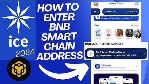How to Enter BNB Smart Chain Adress in ice network | How to Add BSC Adress in Trust Wallet