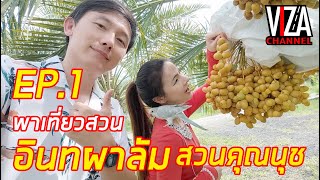 EP.1 พาเที่ยวสวนอินทผาลัมสวนคุณนุช ห้ามพลาดผลไม้ที่มีดีทั้งรสชาติ และประโยชน์มากมาย Viza Channel