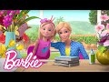 Barbie Who Gave Barbie The Flowers Barbie Vlogs